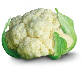 Realistic cauliflower vector material