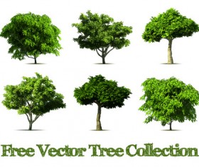 Realistic tree vector design graphics