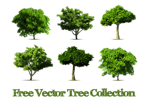 Realistic tree vector design graphics