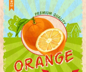 Retro fruit poster grunge style vector 02