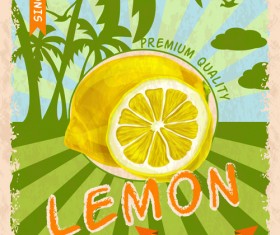 Retro fruit poster grunge style vector 03