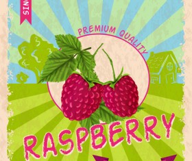 Retro fruit poster grunge style vector 09