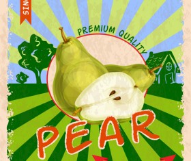 Retro fruit poster grunge style vector 10