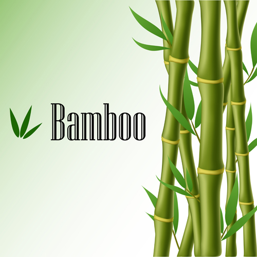 Shiny spring bamboo vector background material 01