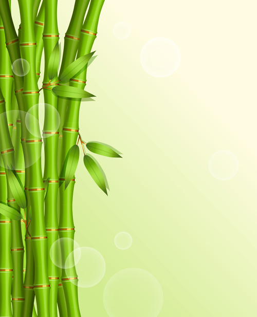 Shiny spring bamboo vector background material 02
