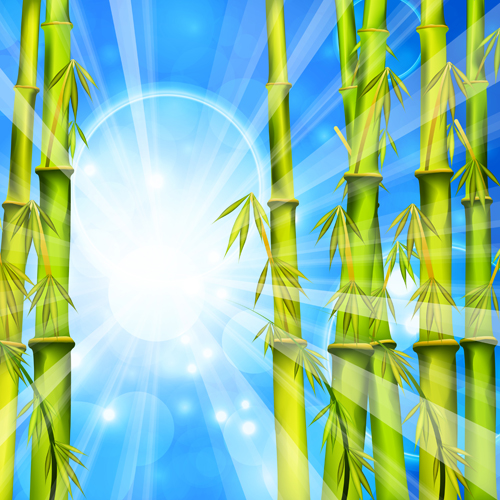 Shiny spring bamboo vector background material 03