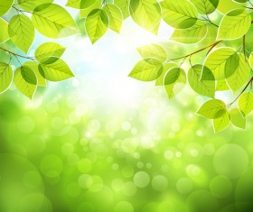 Summer green leaves with sunlight vector background 02