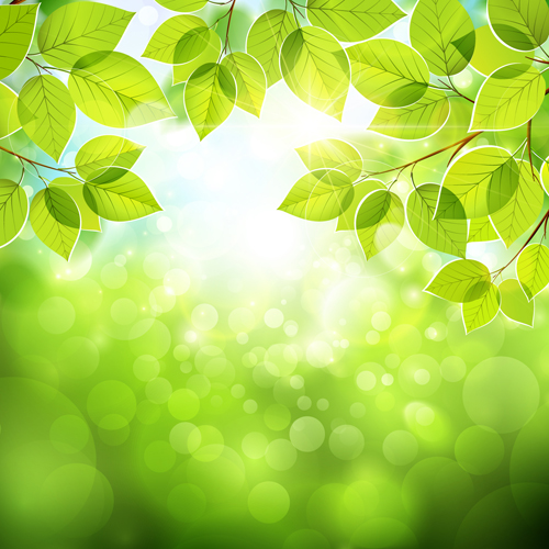 Summer green leaves with sunlight vector background 02