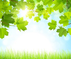 Summer green leaves with sunlight vector background 03