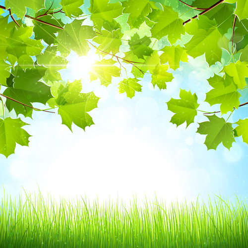 Hojas de verano verde con fondo de vector de luz solar 03