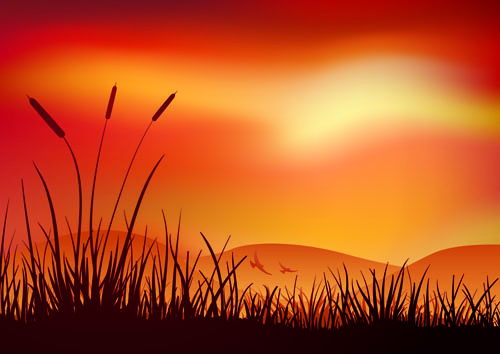 Sunset landscapes beautiful vector background 02