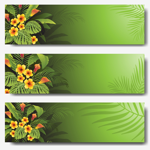 Vector tropical plants green banner set free download