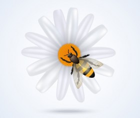 White flower with bee vector