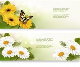 Yellow and white flower banner with butterfly vector