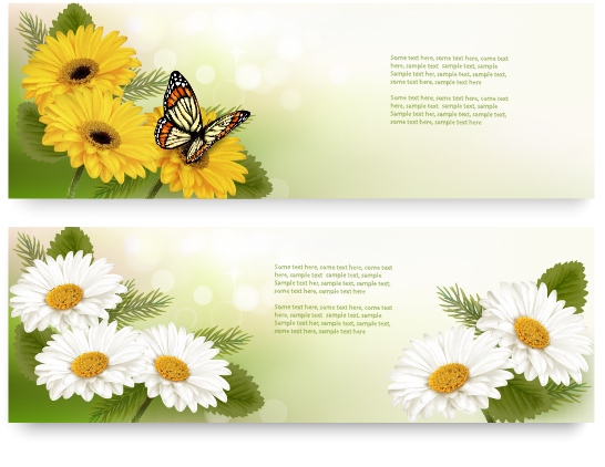 Yellow and white flower banner with butterfly vector