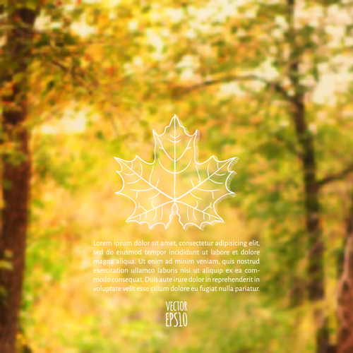 Autumn leaf outline with blurred background vector 01