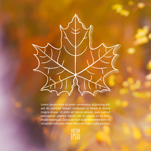 Autumn leaf outline with blurred background vector 03