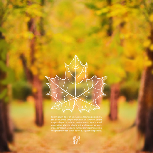Autumn leaf outline with blurred background vector 04