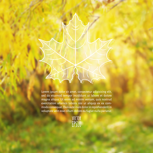 Autumn leaf outline with blurred background vector 05