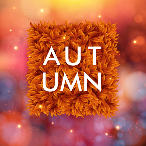 Autumn offer vector background graphics 02