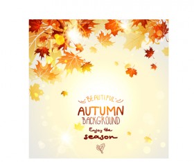 Beautiful autumn leaves background creative vector 01