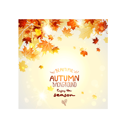 Beautiful autumn leaves background creative vector 01
