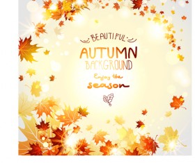 Beautiful autumn leaves background creative vector 03