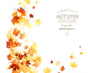 Beautiful autumn leaves background creative vector 04