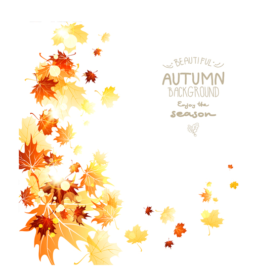 Beautiful autumn leaves background creative vector 04