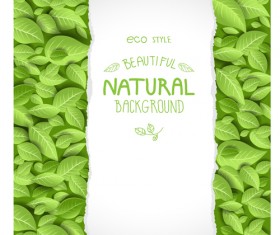 Beautiful green leaves natural background vector 01