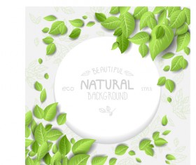 Beautiful green leaves natural background vector 04