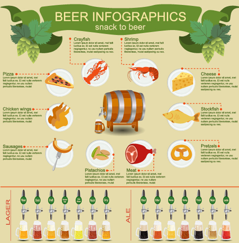 Beer infographic business template vector 03