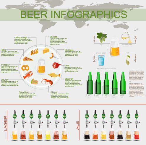 Beer infographic business template vector 04