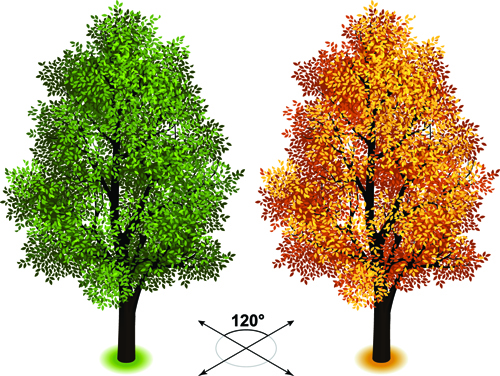Creative isometric trees design vector 03