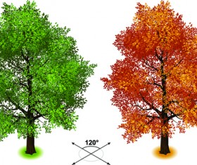 Creative isometric trees design vector 04