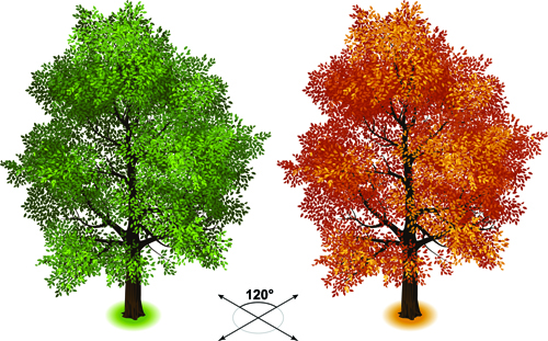 Creative isometric trees design vector 04