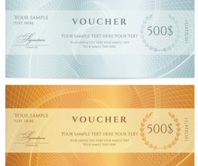 Exquisite vouchers template design vector set 03
