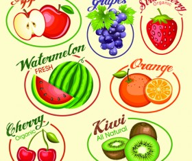 Fruits slice labels vector