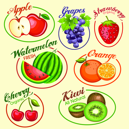 Fruits slice labels vector