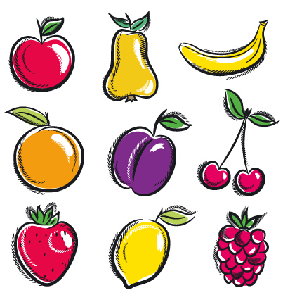 Hand drawn fruits graphics vector 01