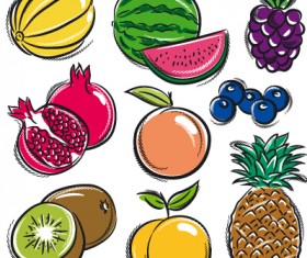Hand drawn fruits graphics vector 02