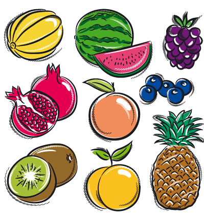 Hand drawn fruits graphics vector 02