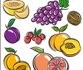 Hand drawn fruits graphics vector 03