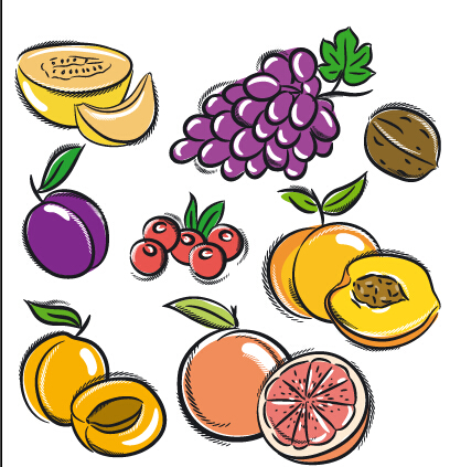 Hand drawn fruits graphics vector 03