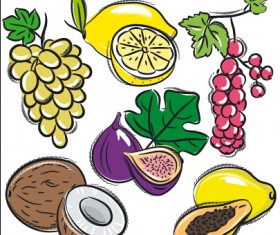 Hand drawn fruits graphics vector 04