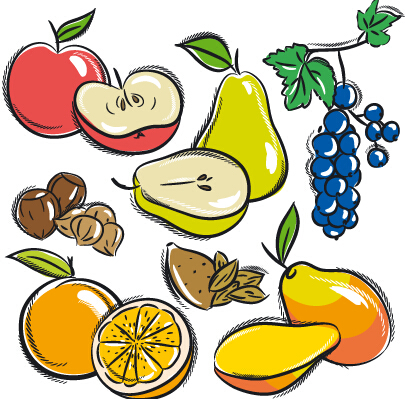Hand drawn fruits graphics vector 05