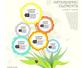 Plant flower infographic vector