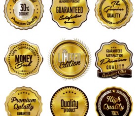 Quality label with badge vintage style vector 01