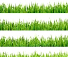 Realistic grass borders design vector 01
