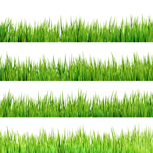 Realistic grass borders design vector 01